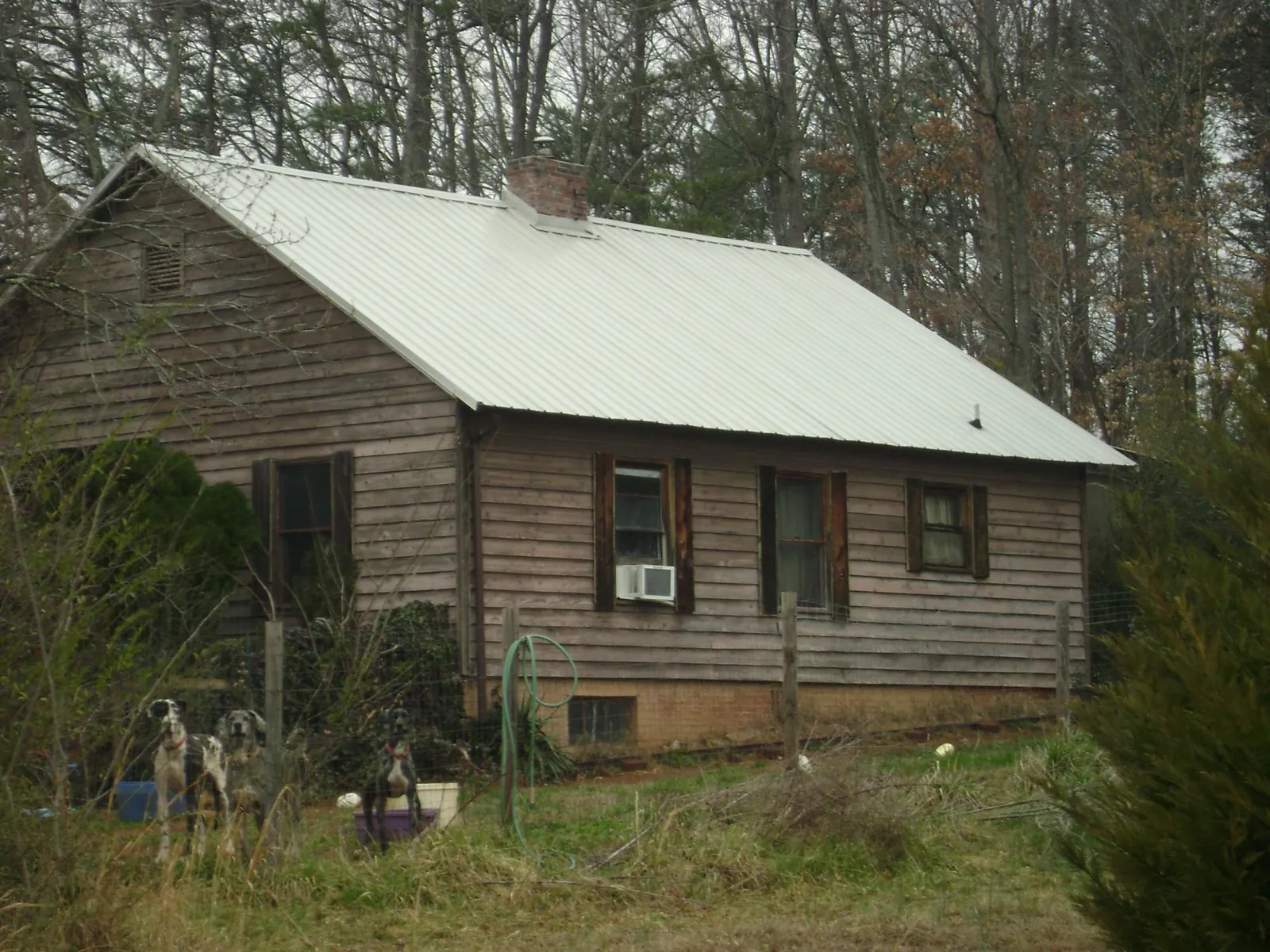 White metal roof on an old wood sided farmhouse, from a Asphalt Shingle Roof Repair job in Sycamore